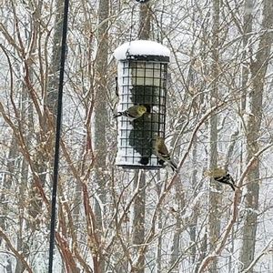 Meet your Posher, Martha